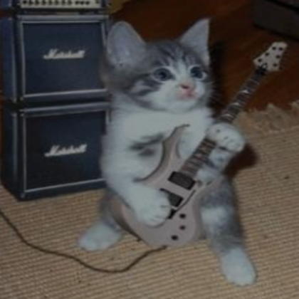 rockstar cat profile picture Roblox Item Rolimon s