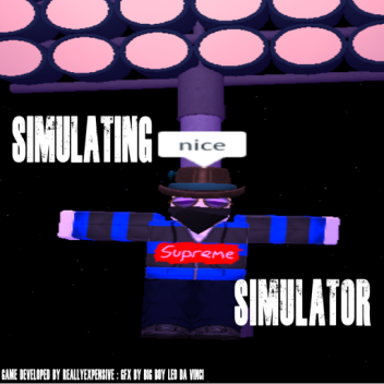 Simulating Simulator